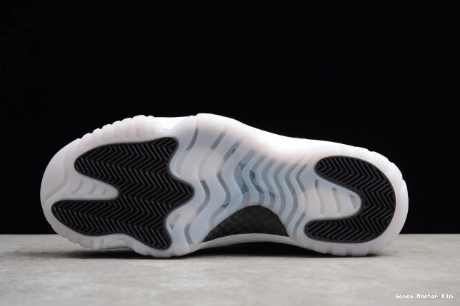 528895-010 11 Air 